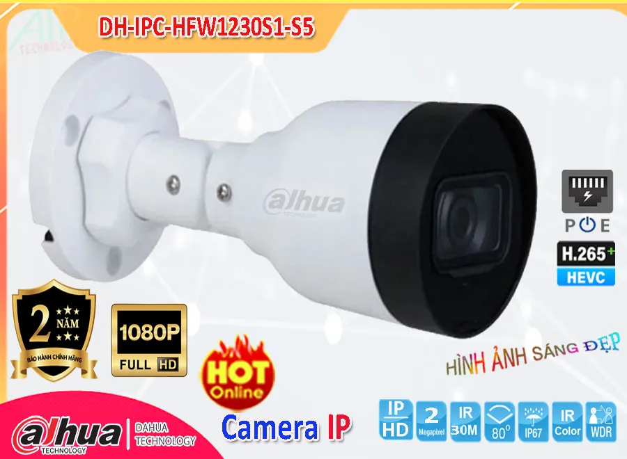 DH-IPC-HFW1230S1-S5, camera DH-IPC-HFW1230S1-S5, camera Ip DH-IPC-HFW1230S1-S5, camera dahua DH-IPC-HFW1230S1-S5, camera ip dahua DH-IPC-HFW1230S1-S5, lắp đặt camera DH-IPC-HFW1230S1-S5
