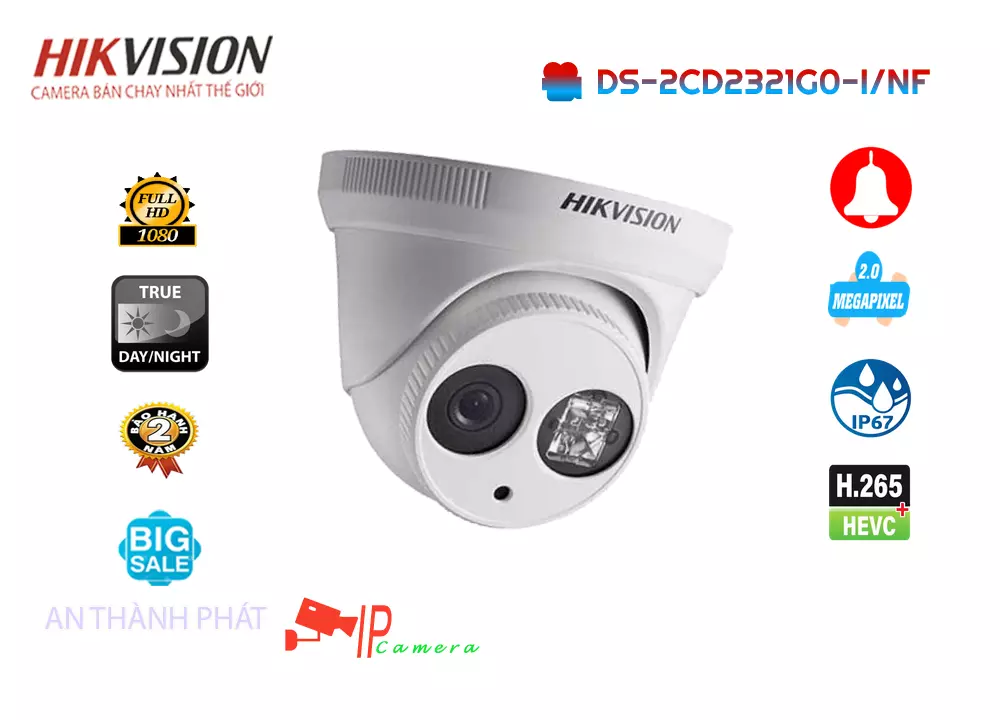 DS 2CD2321G0 I/NF,Camera Hikvision DS-2CD2321G0-I/NF,Chất Lượng DS-2CD2321G0-I/NF,Giá DS-2CD2321G0-I/NF,phân phối